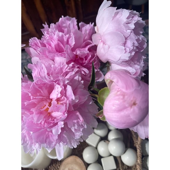 Superdown Lessie V Ruched Mini Skirt Sz Small - Picture 6 of 9